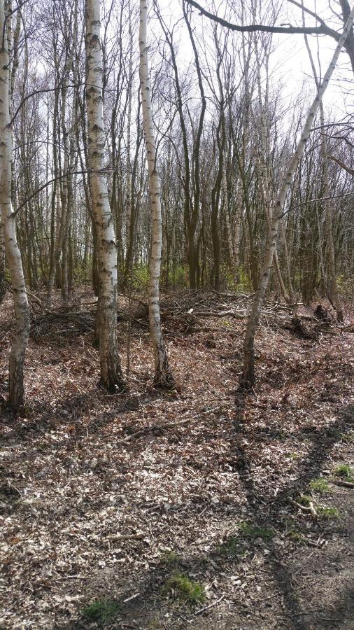 B&B Perron 22 Vierlingsbeek Dış mekan fotoğraf