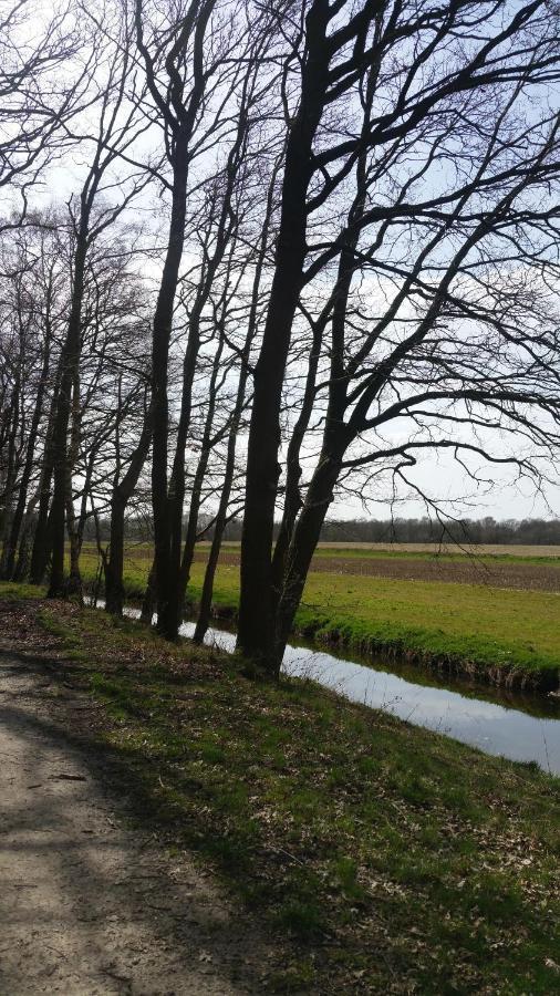 B&B Perron 22 Vierlingsbeek Dış mekan fotoğraf