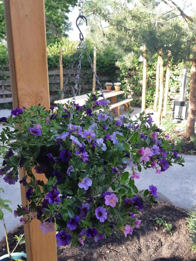 B&B Perron 22 Vierlingsbeek Dış mekan fotoğraf